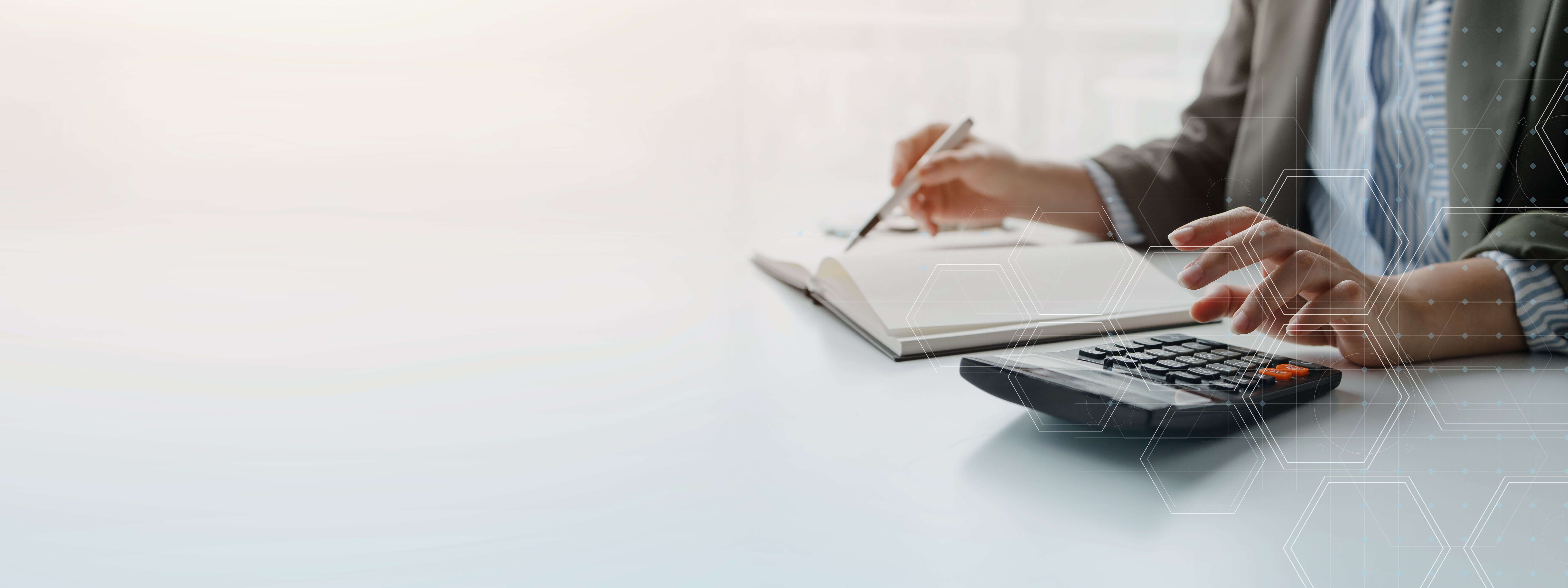 Litigation and legal collections